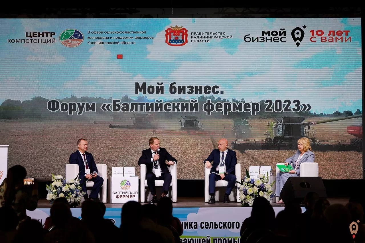 Сельское хозяйство в Калининградской области живёт и процветает