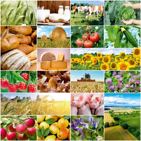 Приглашаем к участию во всероссийском конкурсе в сфере органической продукции