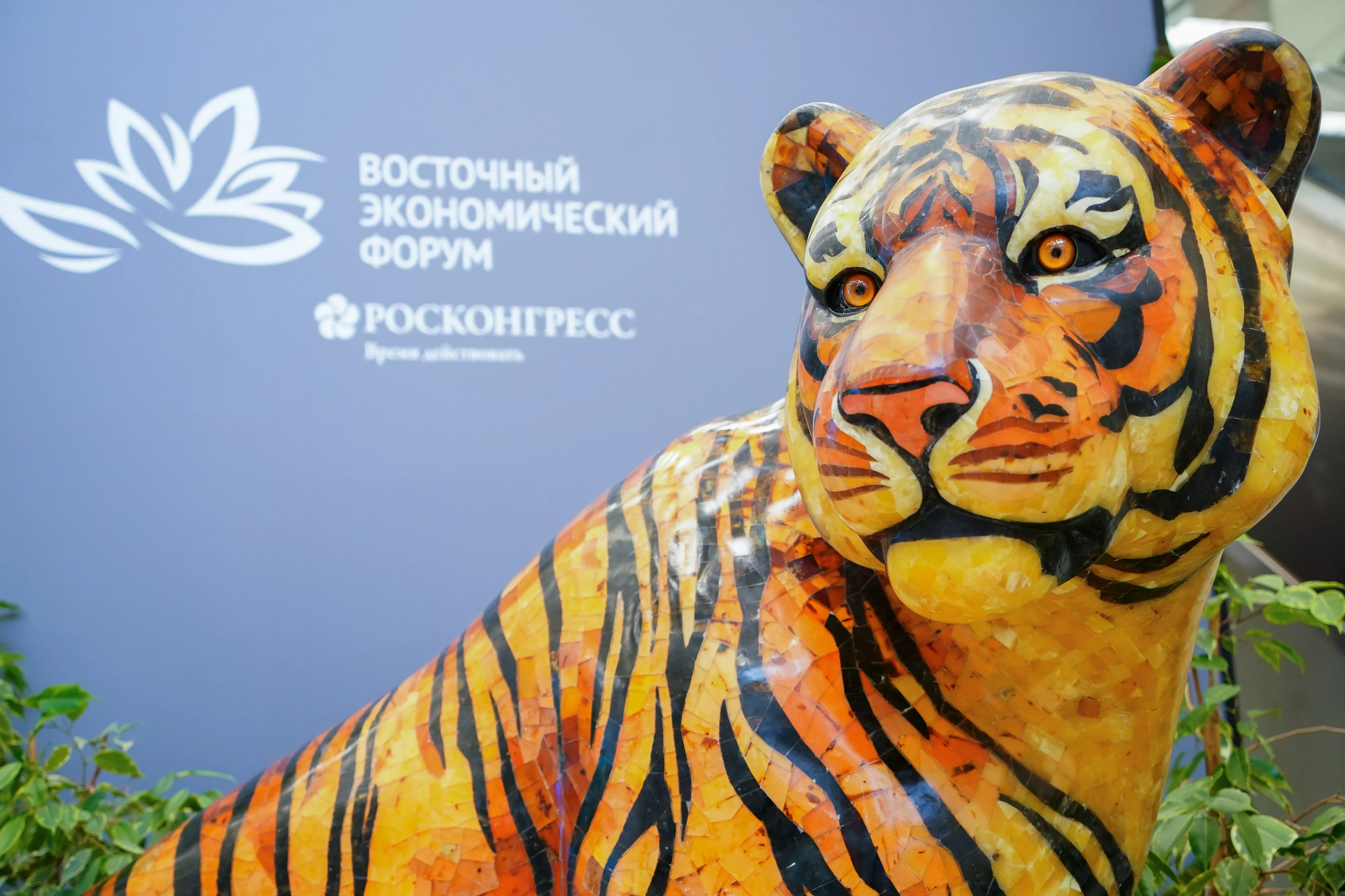 VIII Восточный экономический форум