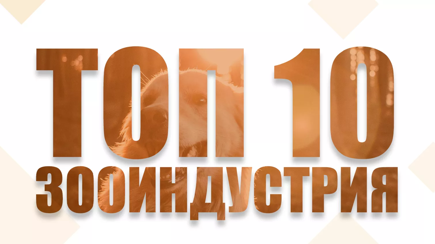 Конкурс стартапов «ТОП 10 инновационных компаний в зооиндустрии» объявляет прием заявок.