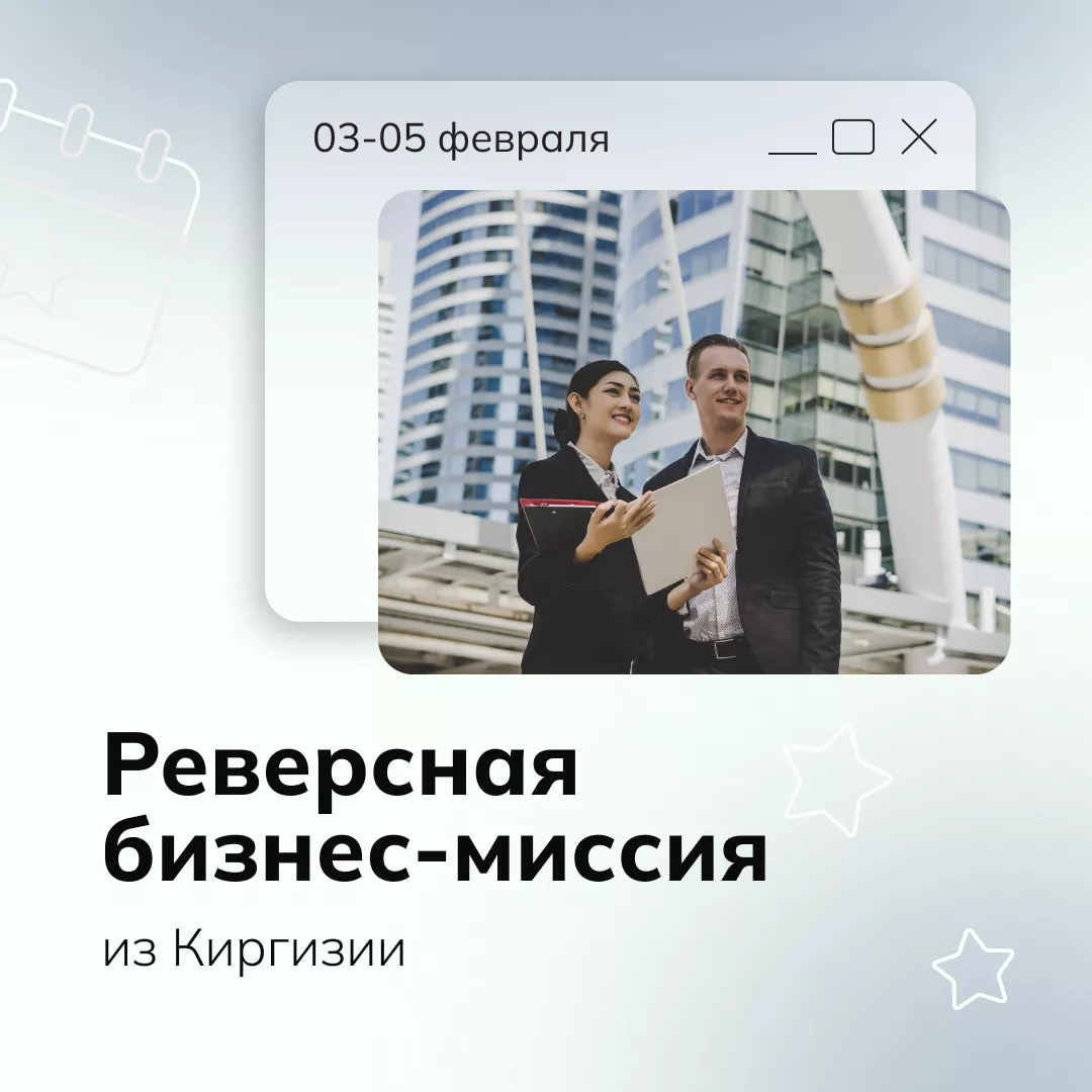 Реверсная бизнес-миссия из Киргизии