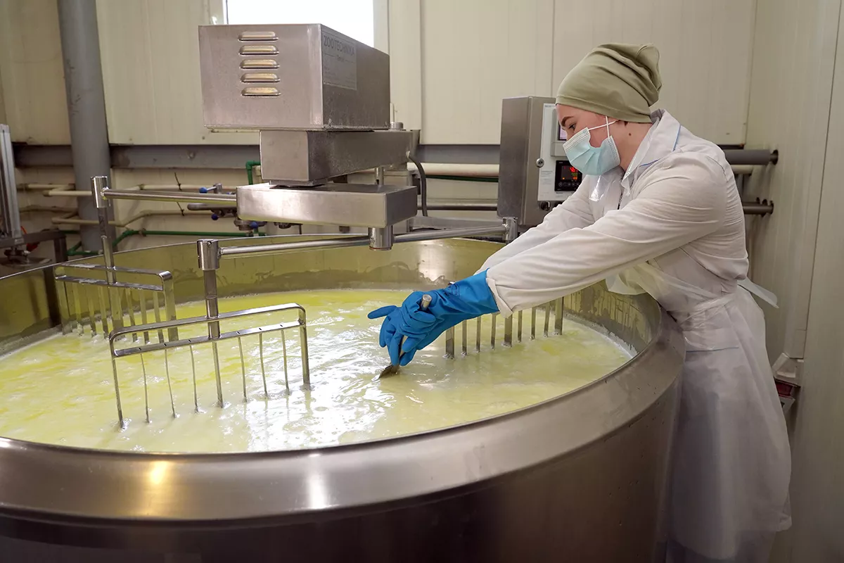 В регионе развивается производство молочных продуктов