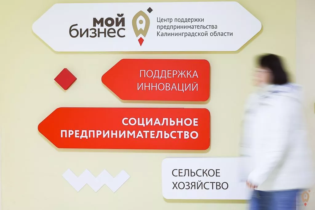 Где искать финансовую поддержку для начинающих предпринимателей?