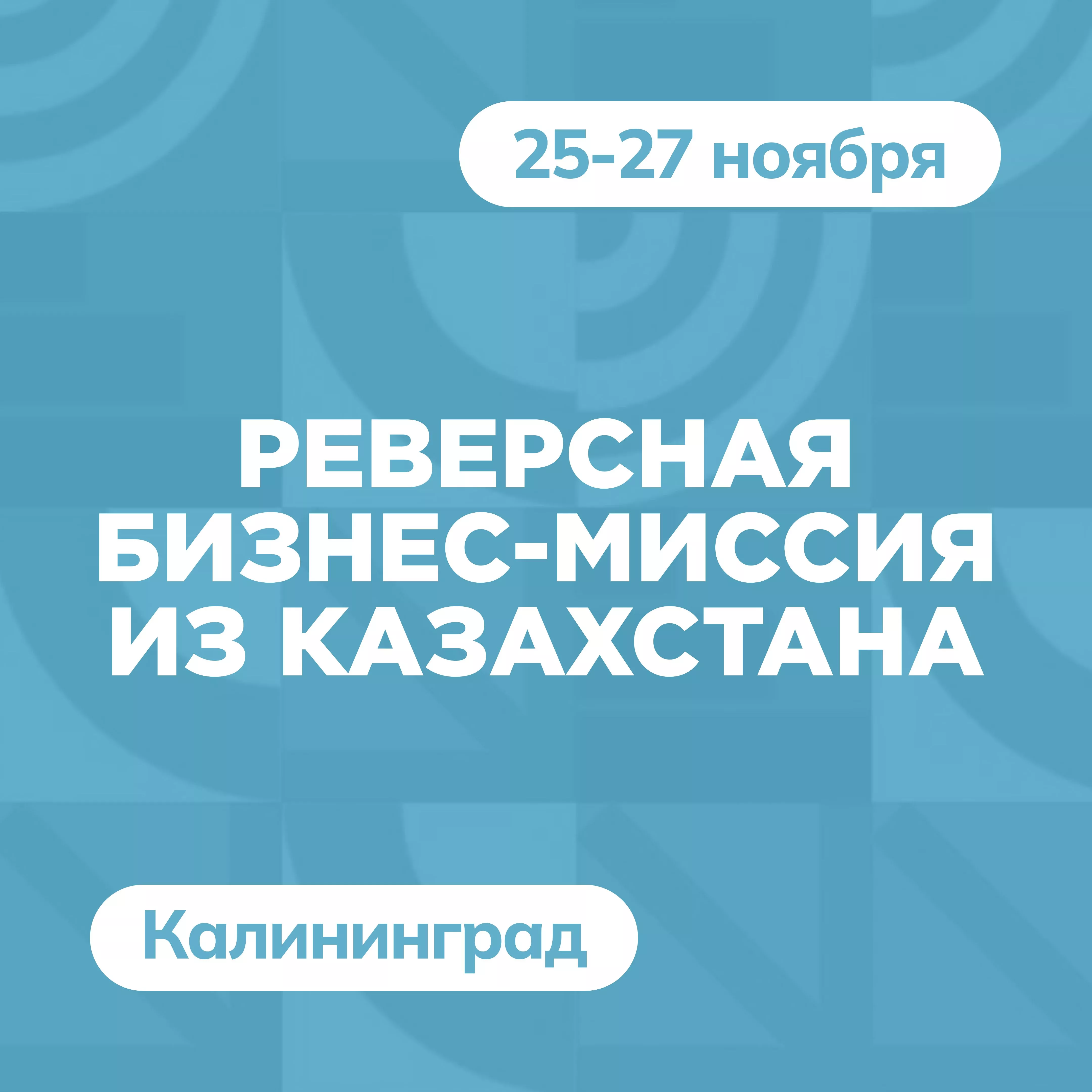Реверсная бизнес-миссия из Казахстана