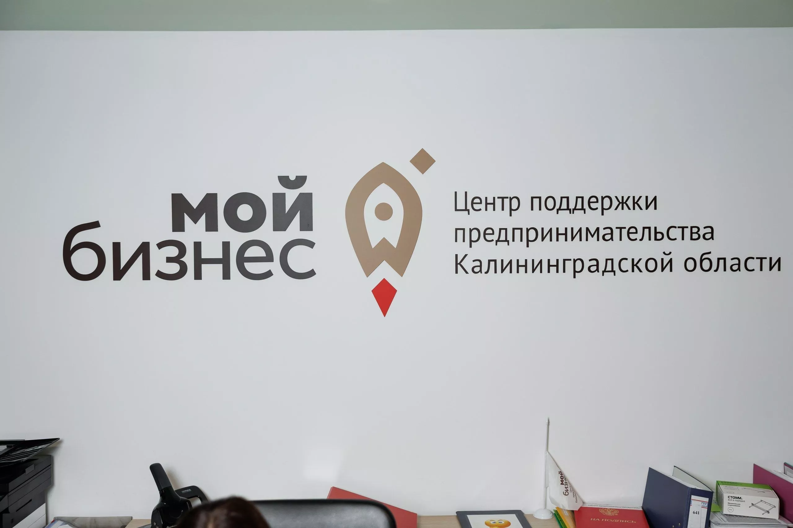 Услуга по содействию в популяризации продукции товаров, работ, услуг для СМСП, входящих в реестр региональных брендов Калининградской области