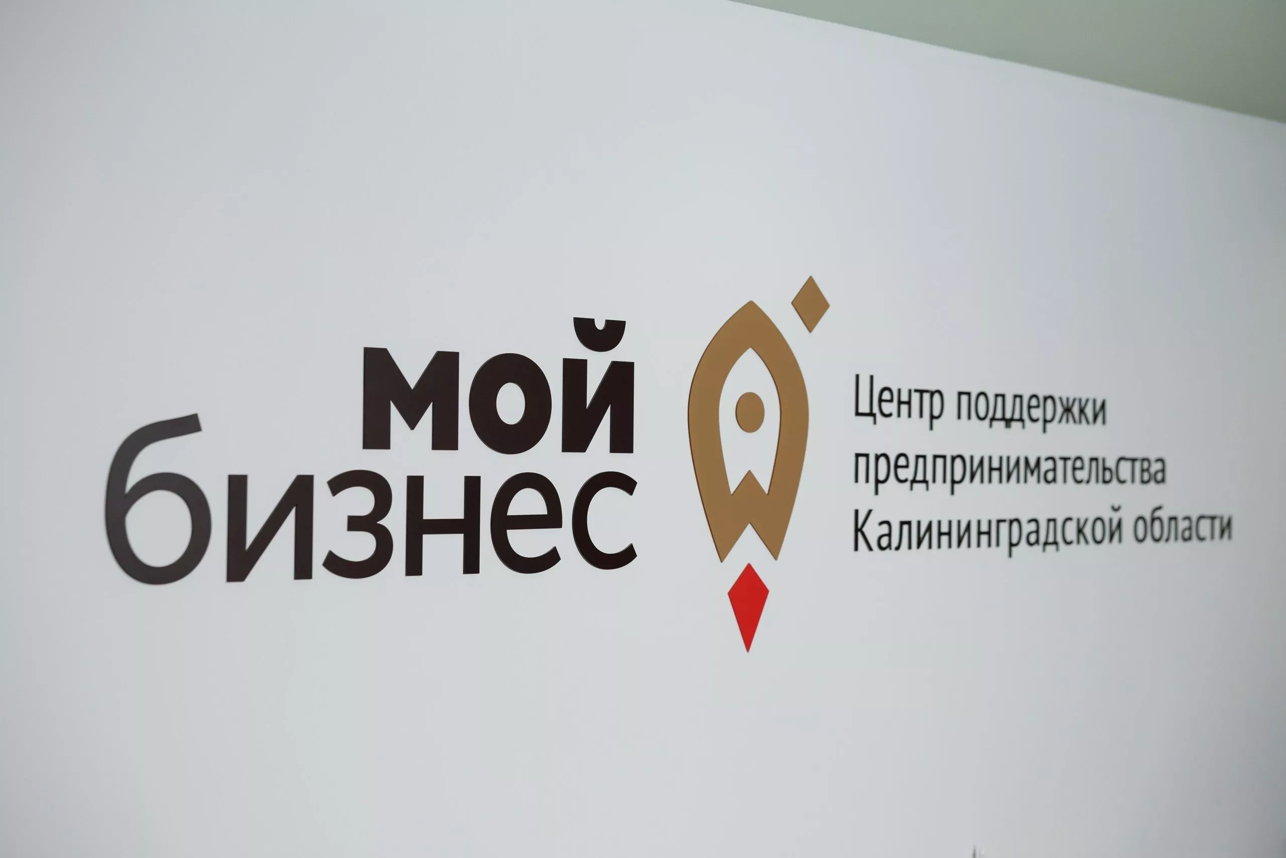 Центр поддержки малого и среднего предпринимательства объявляет о начале приема заявок с 01.10.2026 г. на получение услуги по созданию сайта-визитки на русском языке