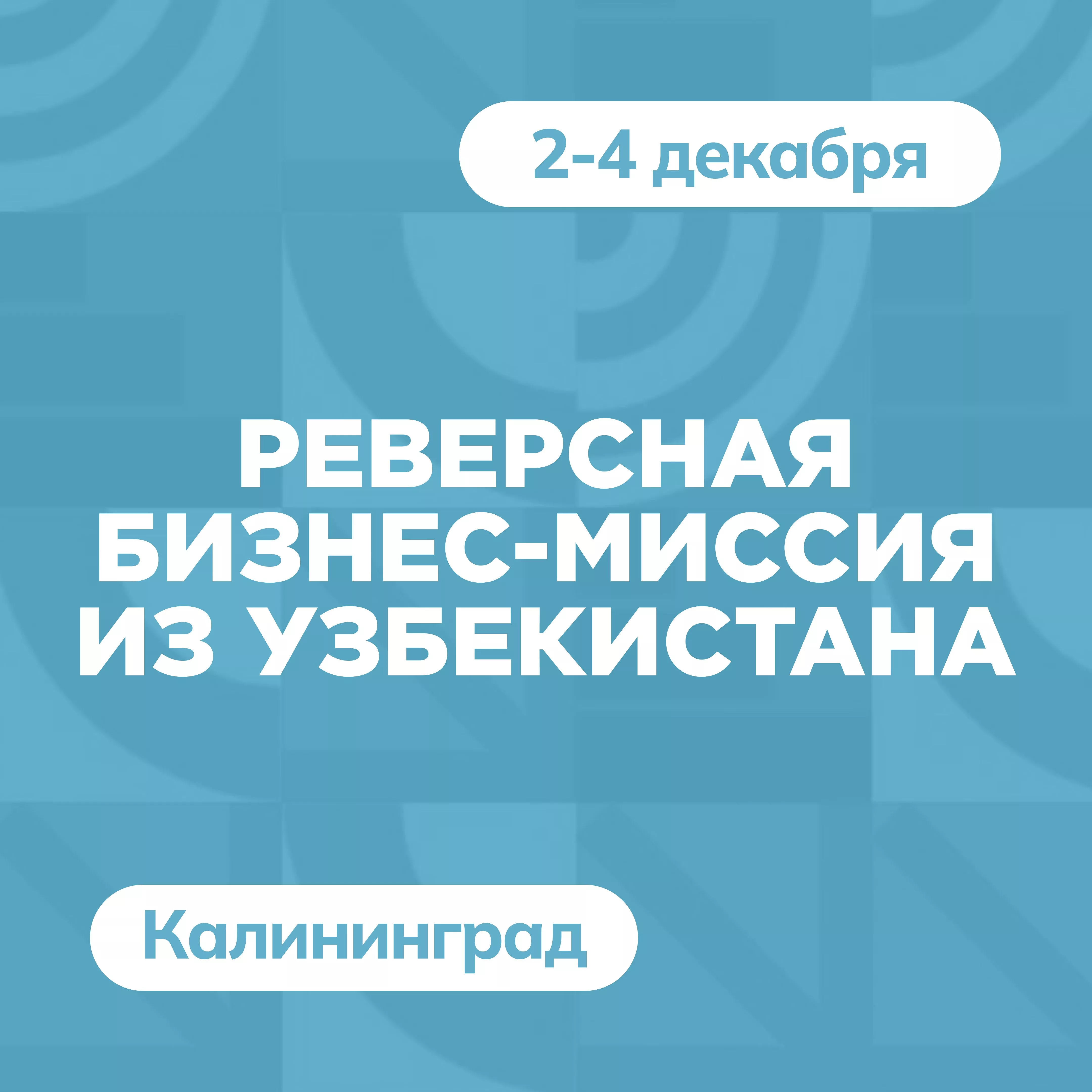 Реверсная бизнес-миссия из Узбекистана