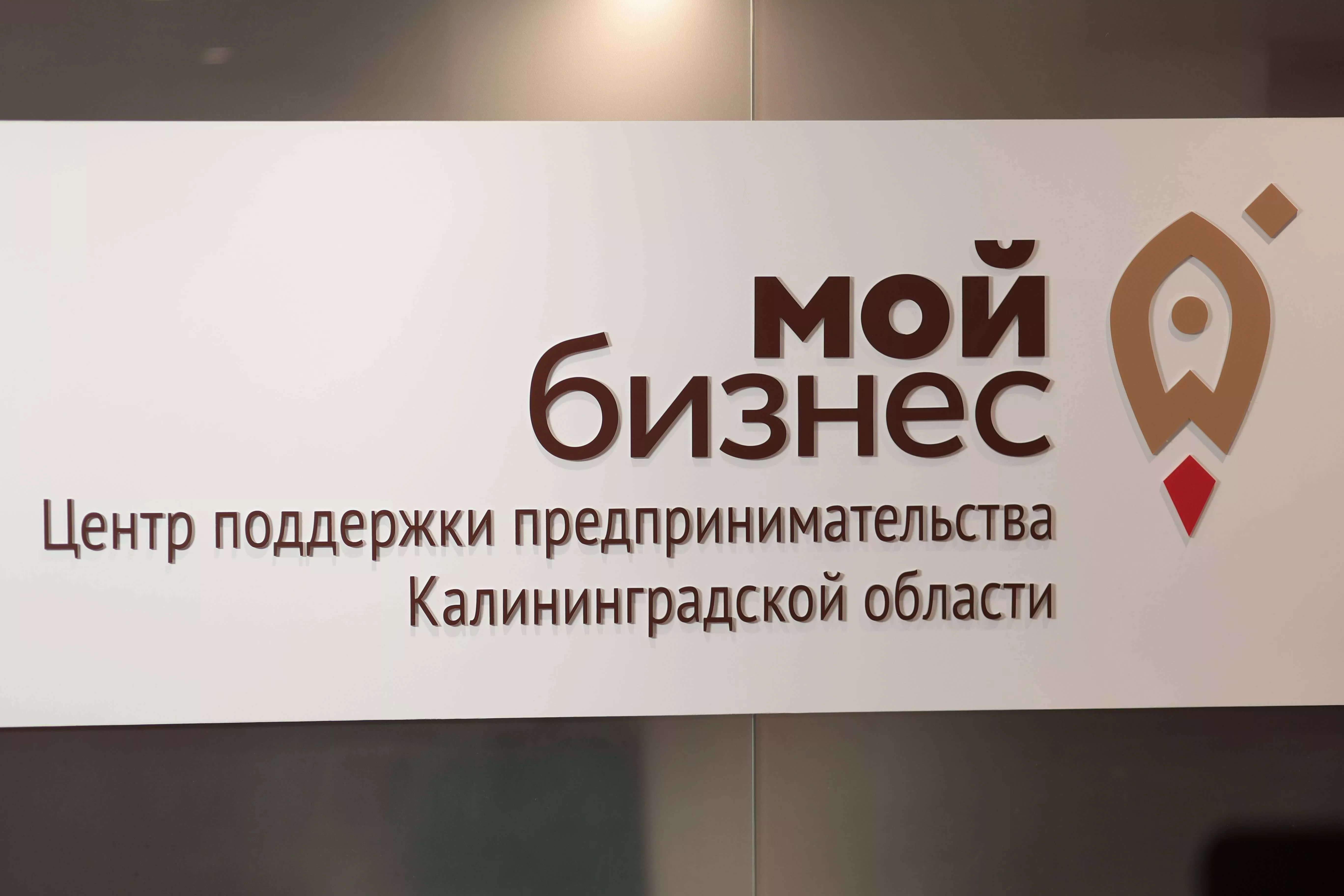 Запускаем оказание услуг для предпринимателей от ЦПП и ЦИСС