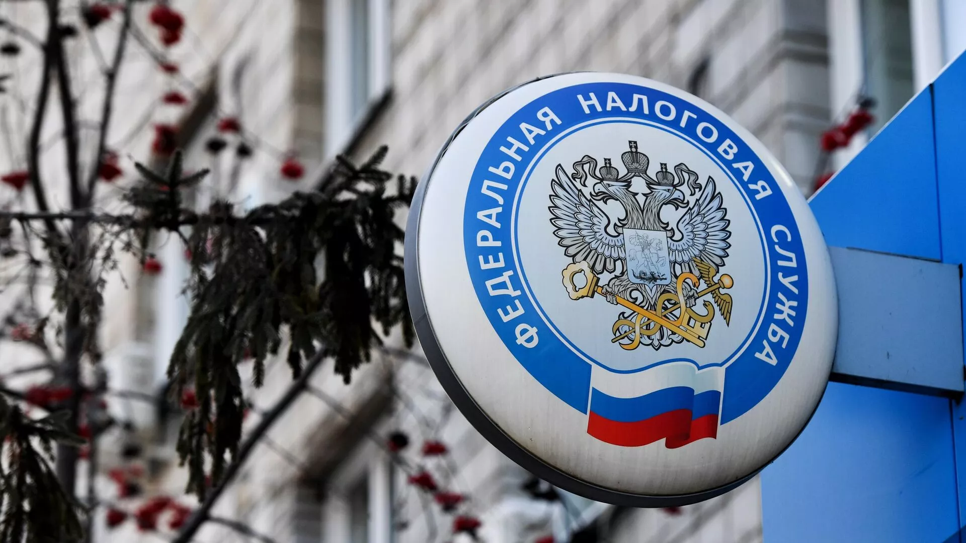 УФНС России по Калининградской области проведет вебинары