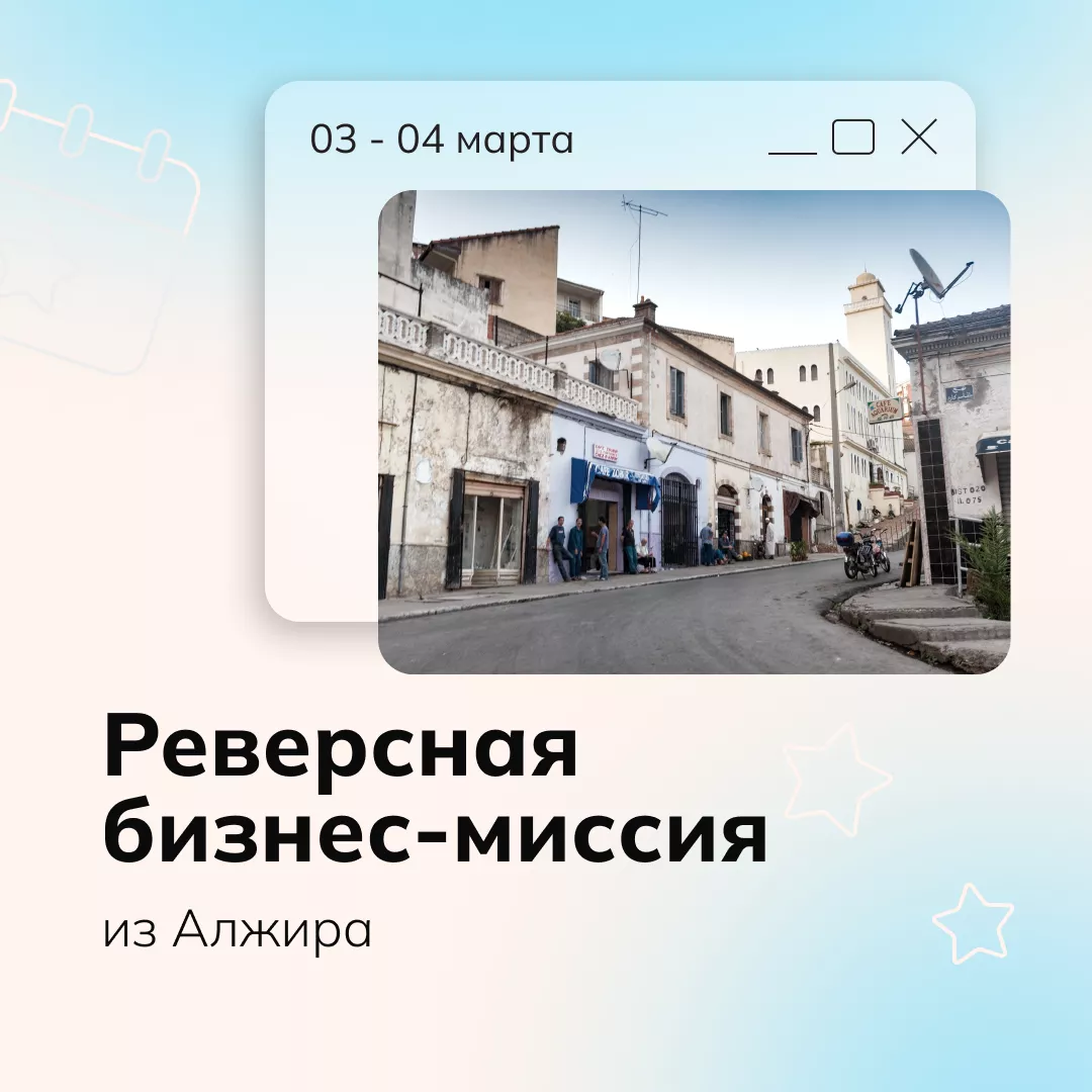 Реверсная бизнес-миссия из Алжира
