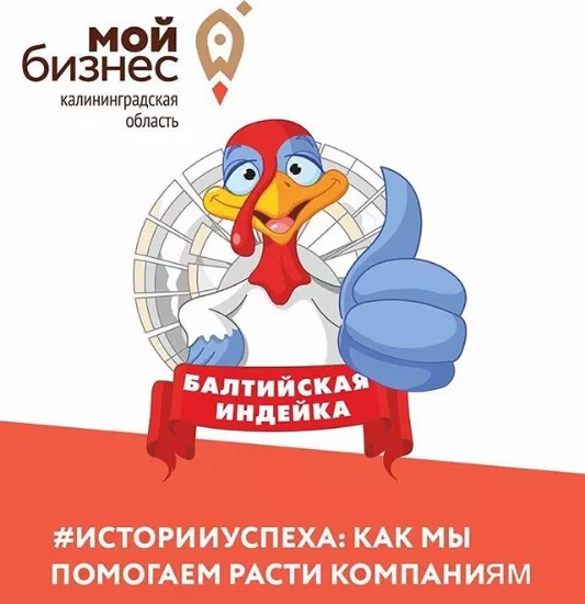 Как мы помогаем расти компании «Балтийская индейка» 
