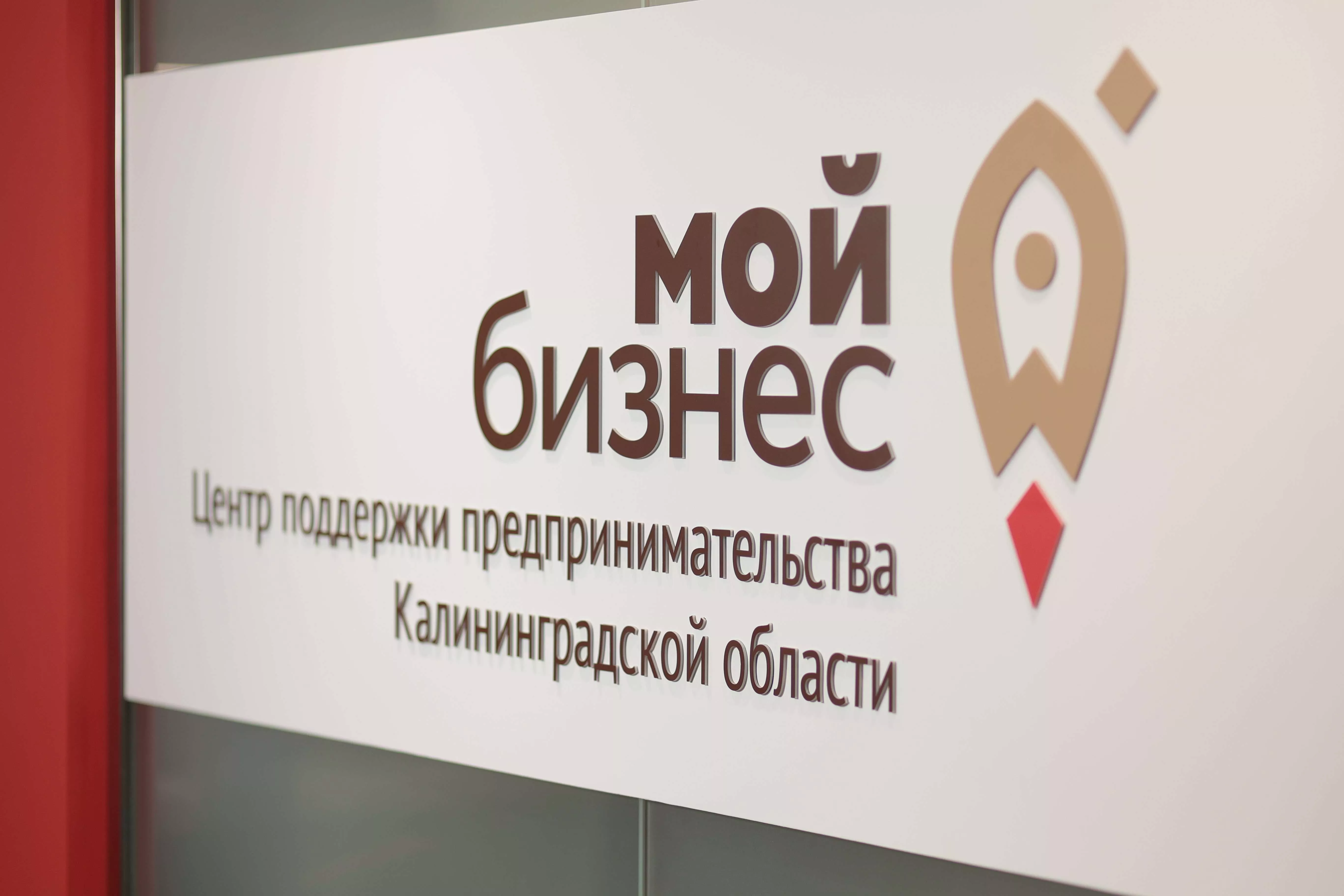 Итоги отбора подрядчиков 2023