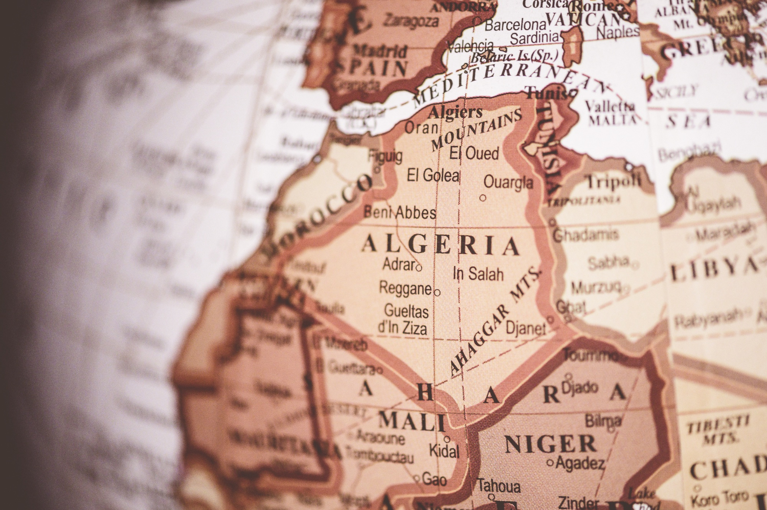 О проведении консультаций по экспортным поставкам продукции на алжирский рынок