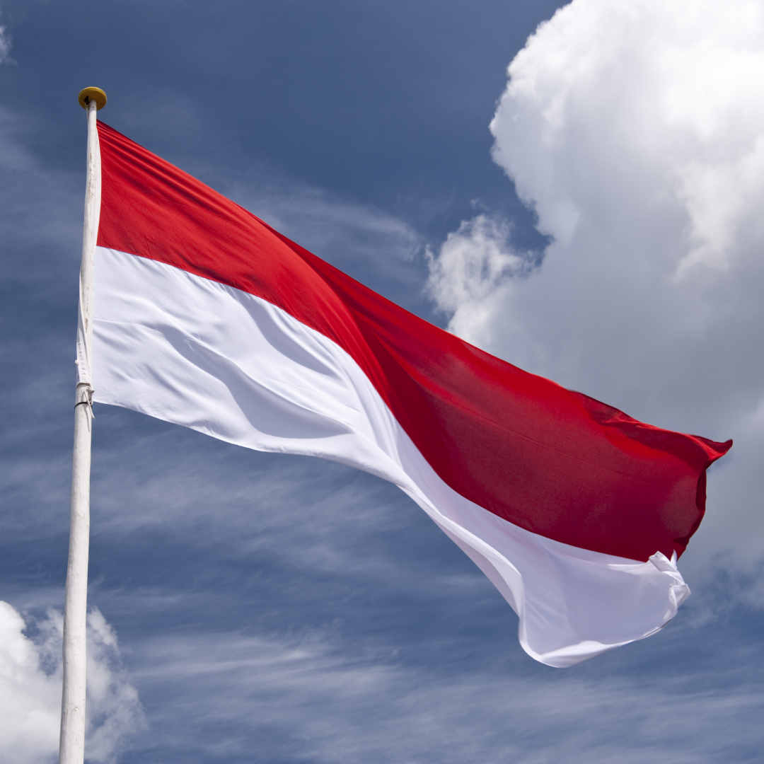 18 июля для калининградских предпринимателей прошел "Час с Торгпредом" в Республике Индонезии