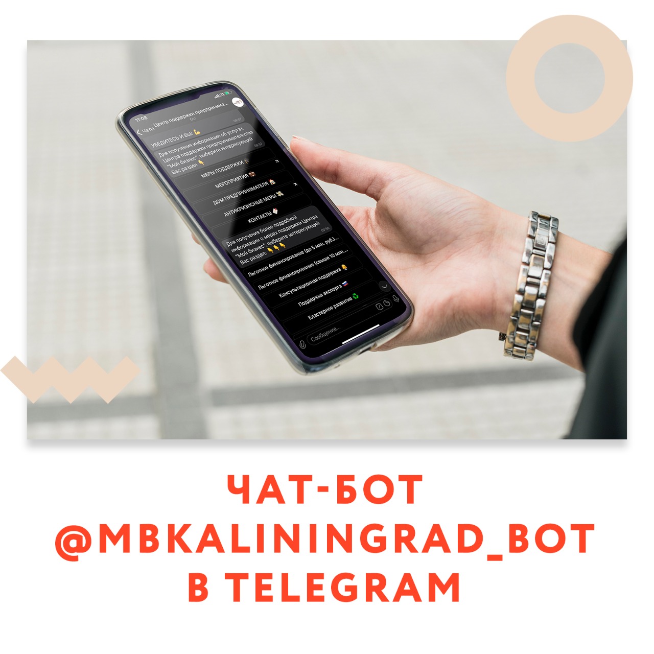 @mbkaliningrad запустил свой чат-бот в Телеграме! 